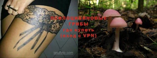 ГАЛЛЮЦИНОГЕННЫЕ ГРИБЫ Красноперекопск