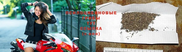 твердый Армянск