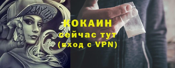 твердый Армянск