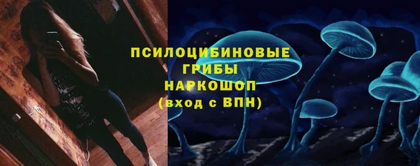 spice Аркадак