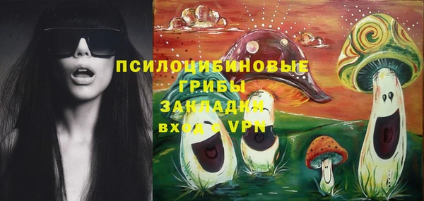 твердый Армянск