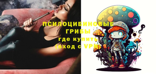 амф Краснотурьинск