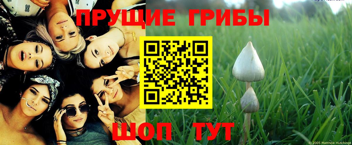 Псилоцибиновые грибы мухоморы  Вход с VPN  Кирово-Чепецк  продажа наркотиков  Псилоцибиновые грибы Cubensis 